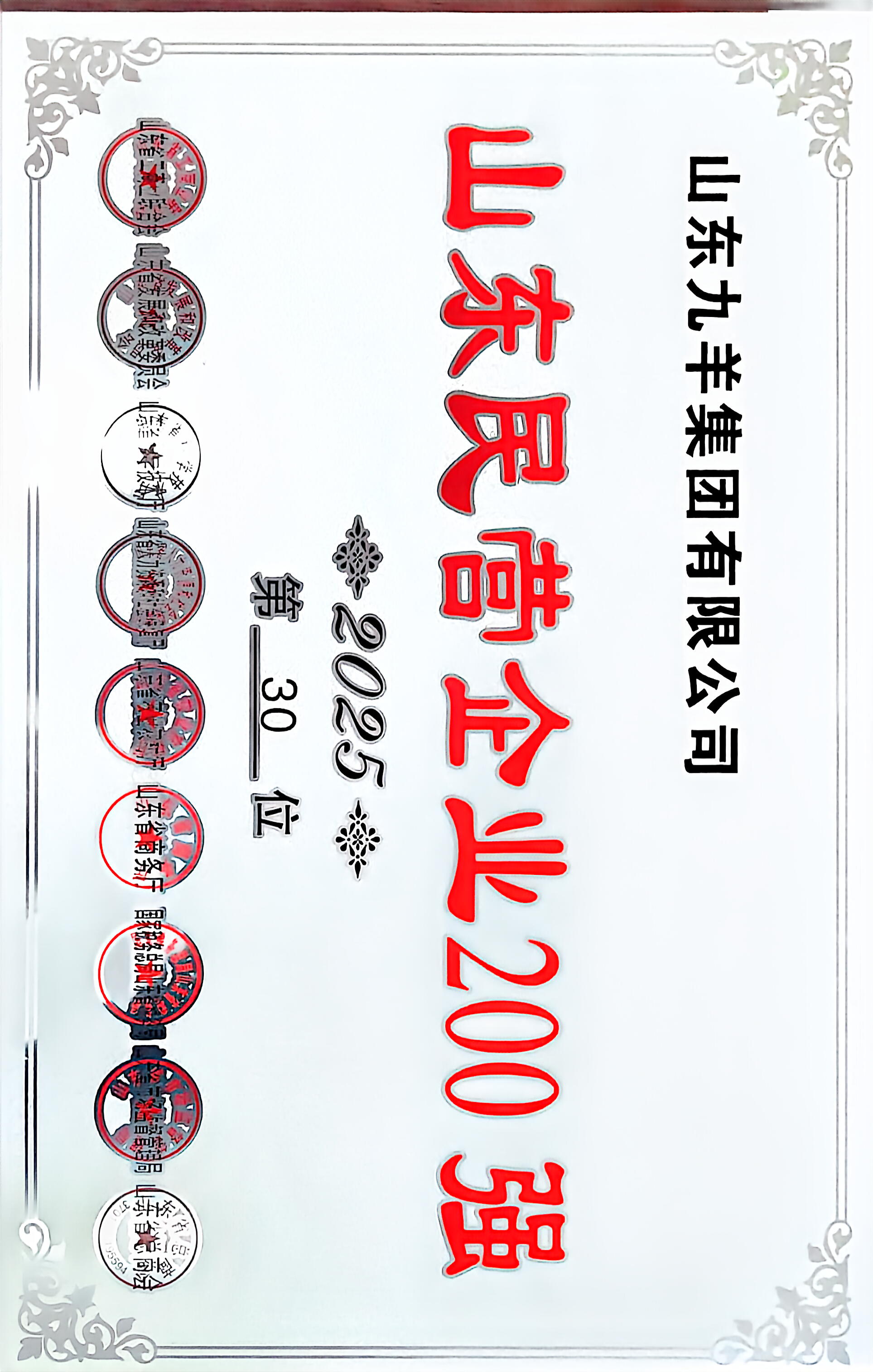 ks凯时2025年度山东民营企业200强 第30名