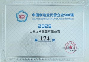 2025年制造业民营企业500强174位